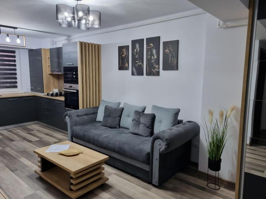 Luxury Apartments Bacău Екстериор снимка
